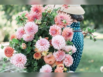 How to Care for Dahlias and Make a Statement in Your Garden