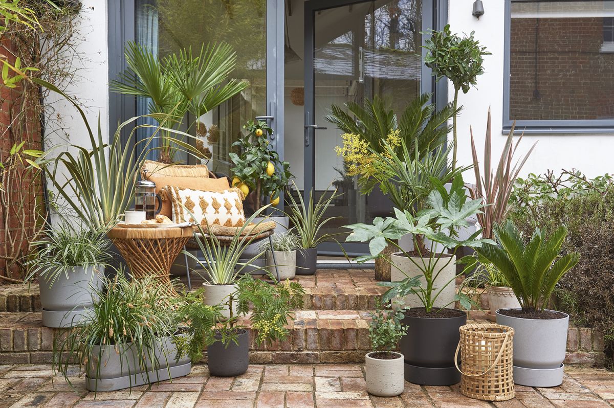 10 ideas for small gardens on a budget - how to maximise style for minimal cost