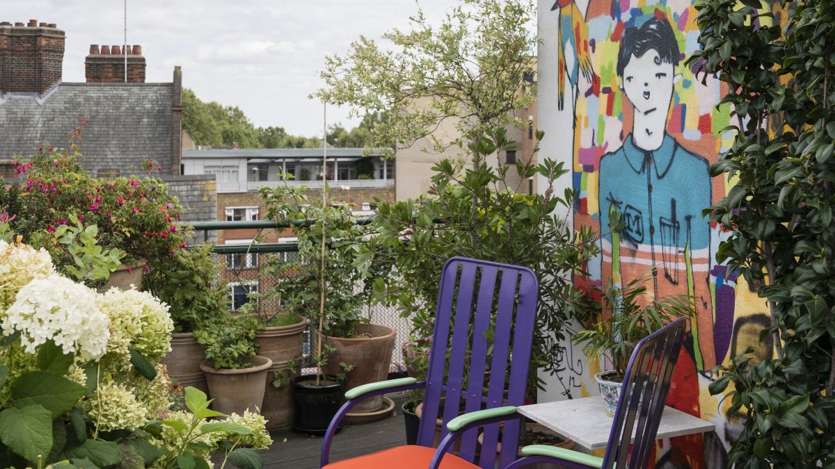 Garden expert reveals how to create a biodiverse space on a city-center balcony