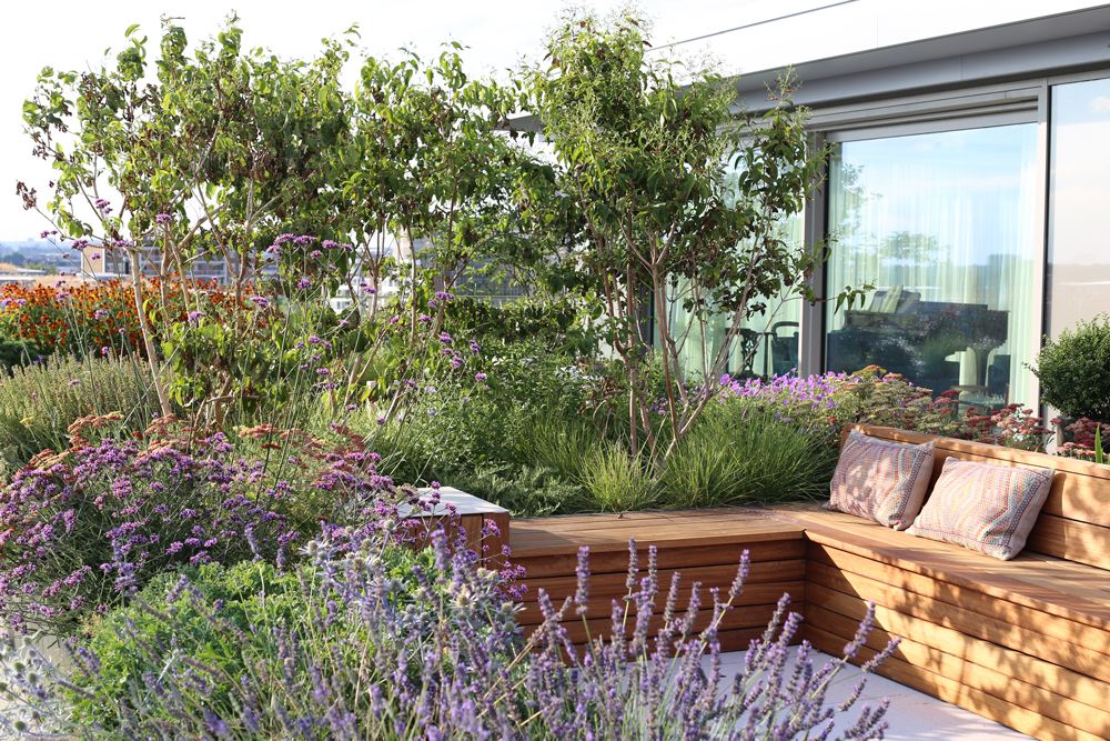 How to plan a modern garden - the 10 top tips you absolutely need to know