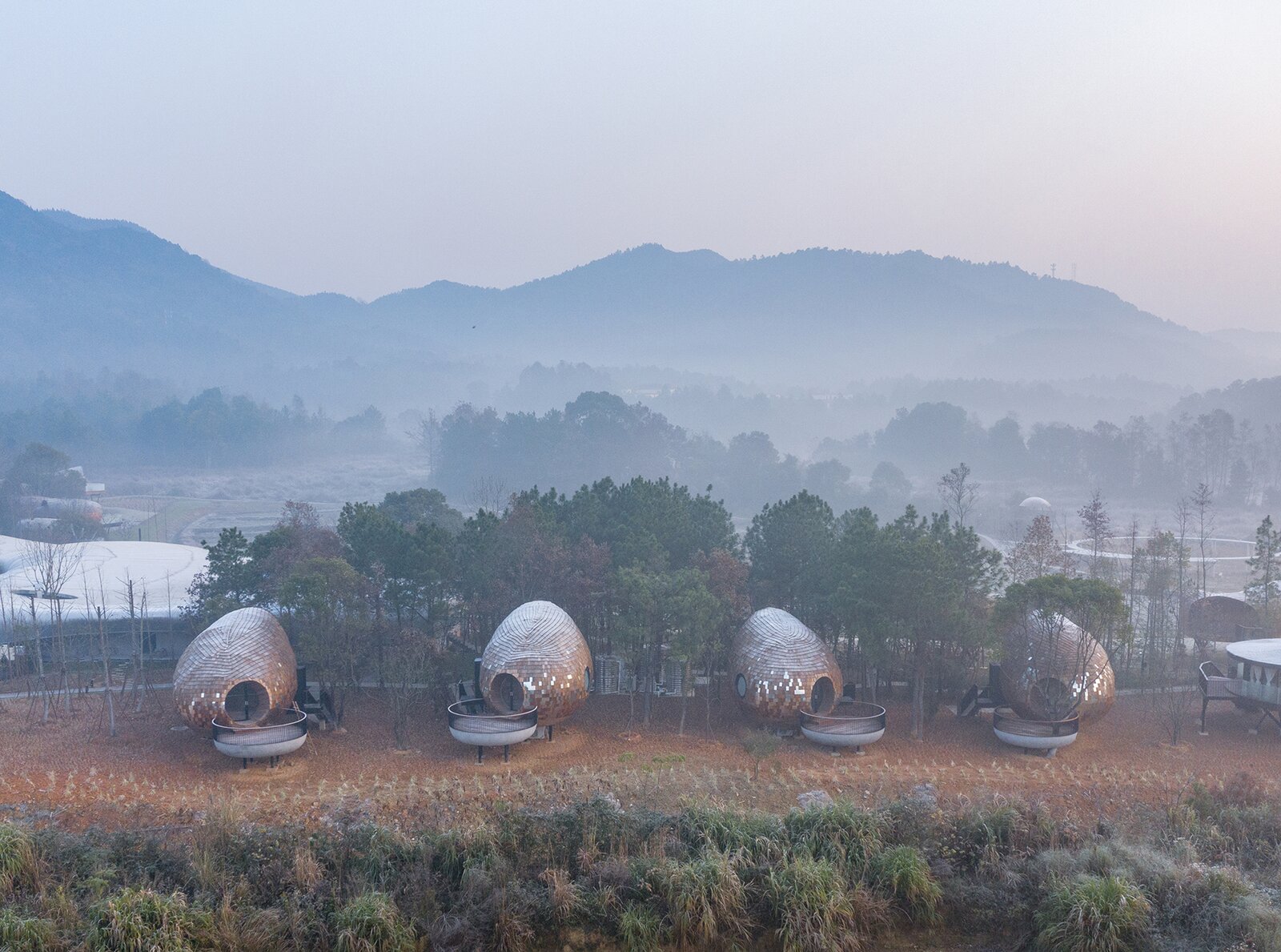 These Eclectic Pods Nestled in a Chinese Pine Forest Imitate Their Natural Surroundings