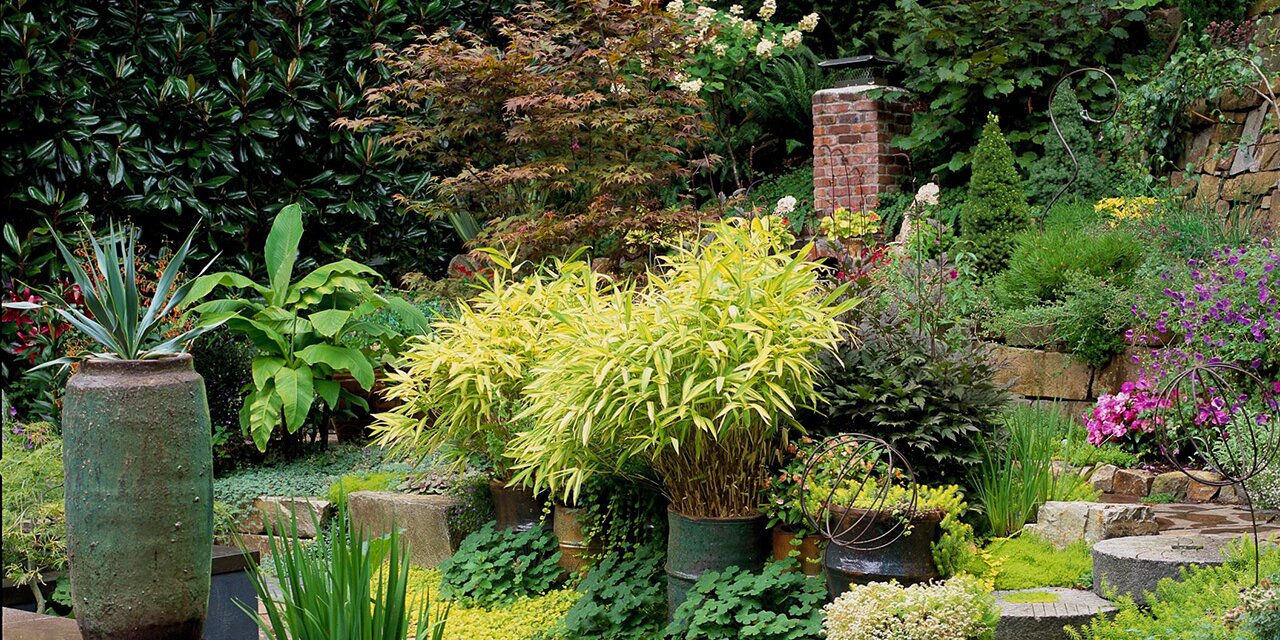 10 Tips for Creating an Easy-Care Landscape That Won't Need a Ton of Maintenance