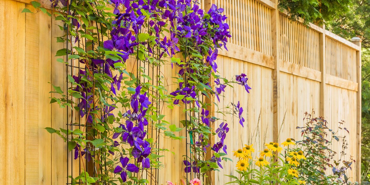 6 Eye-Catching Fence Decorating Ideas to Dress Up Your Yard