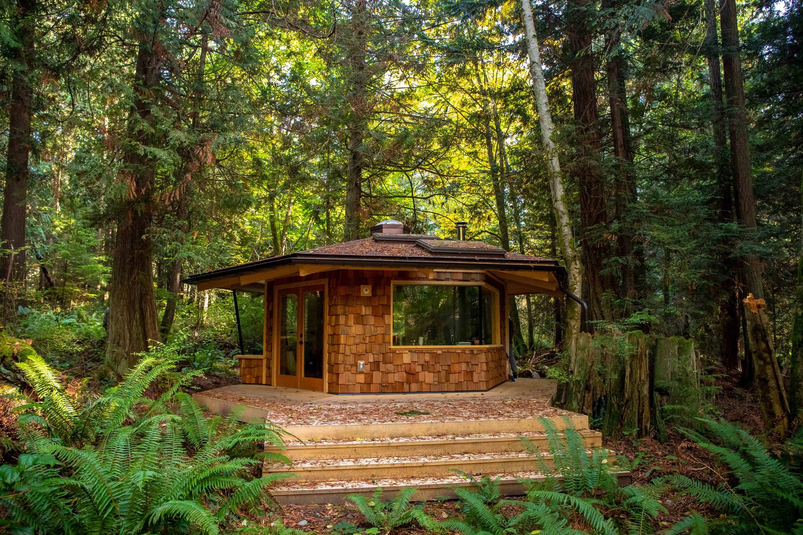 Two Brothers Build a Woody, Hexagonal Studio in the Forest