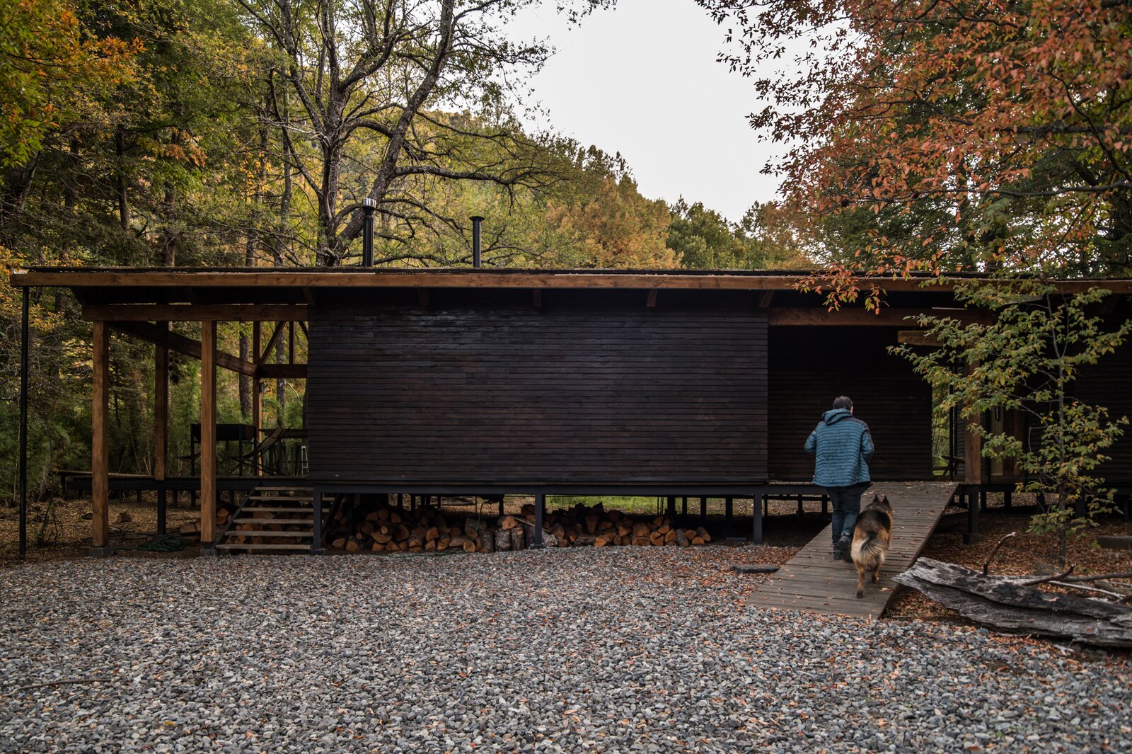 A Remote Chilean Cabin Appears to Float Above the Forest Floor