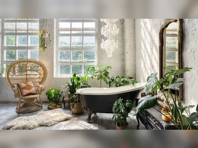 These Bathroom Plants Will Help You Create Your Own Indoor Oasis