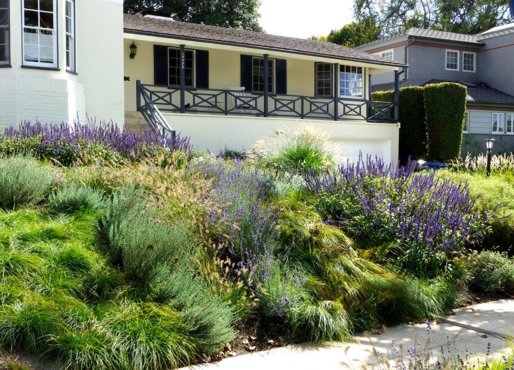 How To Plant A Meadow Garden Even In The City Decor Report
