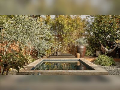 Small California Yard Proves You Don't Need a Big Pool